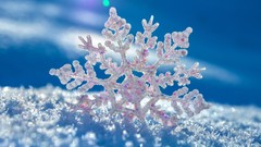 Nature snow winter photograph