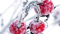 Nature snow winter red cold white Green food Frozen cherries 