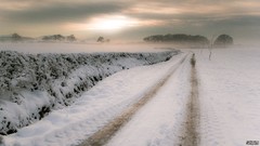 Nature snow winter roads