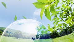 Nature soap Photo manipulation