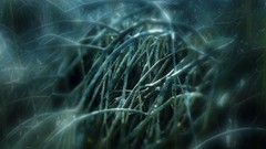 Nature soft light artwork