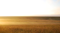 Nature South African