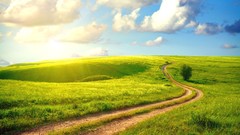 Nature spring path fields