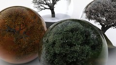 Nature summer autumn spring