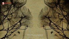 Nature summer autumn Typography silhouettes monochrome Quotes 