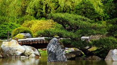 Nature summer Beaches