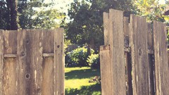 Nature summer bright Green Garden brown sunny fences