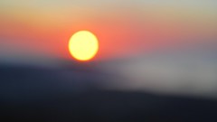Nature sun bokeh blurred