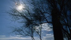Nature sun clouds skyscapes