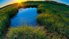 Nature sun fields national geographic fisheye effect