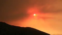 Nature sun orange silhouettes