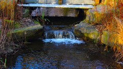 Nature sun Park forests