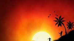 Nature sun silhouettes palm