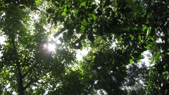 Nature sun summer light iran artwork