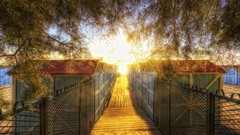 Nature sunlight HDR Photography