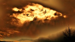 Nature sunlight skyscapes