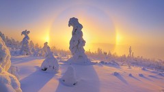 Nature sunlight snow landscapes