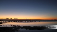 Nature sunset Landscapes