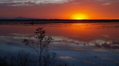 nature sunset sunlight sky