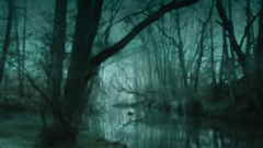 Nature swamp pics swamping