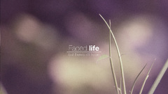 Nature text grass Plants