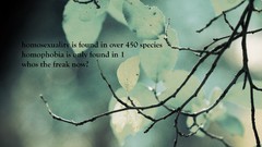 Nature text Typography funny minimalistic Quotes