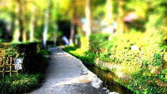 Nature tilt-shift
