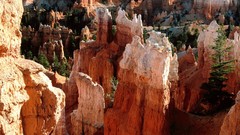 Nature tower canyon bryce canyon