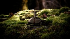 Nature tower turtles fantasy