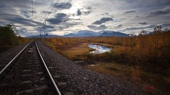 Nature track railroad tracks