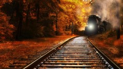 Nature tracks railway railroad tracks trains