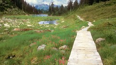 Nature trail Washington lakes mount baker