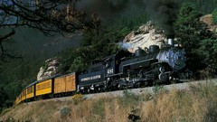 Nature trains Steam train