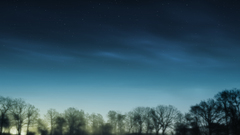 Nature tree time one morning was that