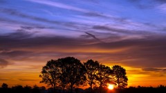 Nature Treecko night landscapes Fisker Karma S Sunset