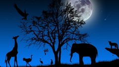 Nature Trees Animals moon Birds snakes Giraffes blue background 