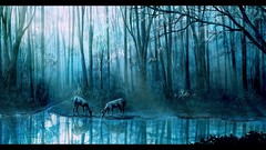 Nature Trees Animals water blue Plants deer reflections streams 