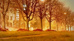 Nature Trees artwork