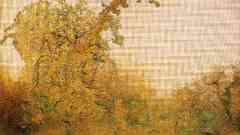 Nature Trees artwork