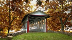 Nature Trees autumn architecture
