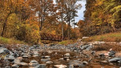 Nature Trees autumn Canada Toronto Parks