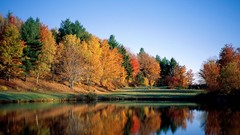 Nature Trees autumn colors lakes reflections