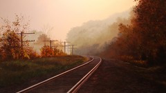Nature Trees autumn railway
