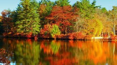 Nature Trees autumn rivers