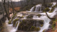 Nature Trees autumn rocks paths