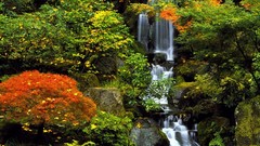 Nature Trees autumn waterfalls