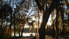 Nature Trees bench lakes