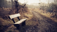 Nature Trees bench roads paths mist