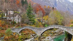 Nature Trees black and white switzerland Bridges forests