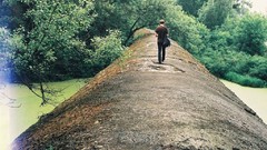 Nature Trees Bridges